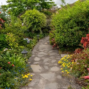 https://casa-el-drago-brena-baja.in-canary-islands.com
